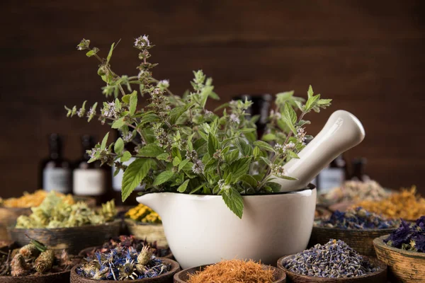 Mortar Herbs Oil Wooden Table — Stock Photo, Image