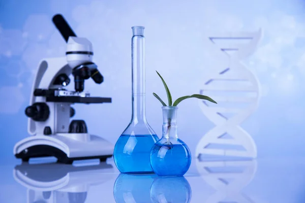 Dna Plantenlaboratorium Experimenteel Chemisch Glaswerk — Stockfoto