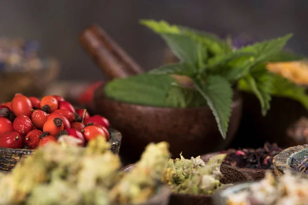 Homeopathy Herbal Medicine Wooden Table — Stock Photo, Image