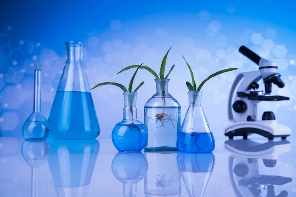 显微镜 生物技术概念 植物实验室实验 — 图库照片
