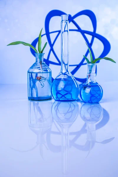 Atom Chemisch Laboratoriumglaswerk Genetisch Gemodificeerde Plant — Stockfoto