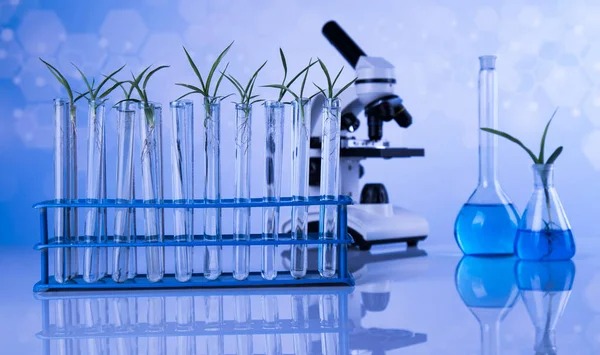 Plant Test Tube Scientist — Stock Photo, Image