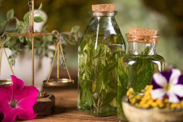 Homeopathy Herbal Medicine Wooden Table — Stock Photo, Image