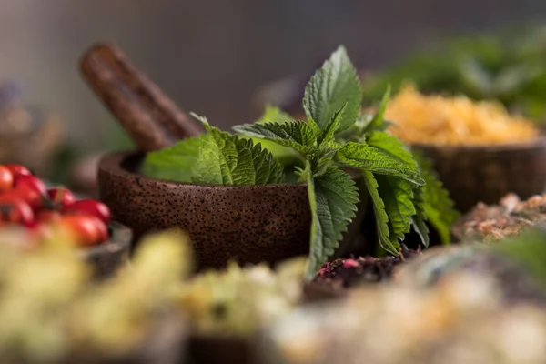 Homeopathy Herbal Medicine Wooden Table — Stock Photo, Image