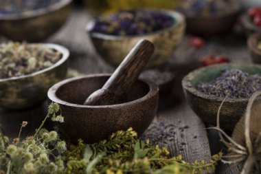 Doğal tedavi, şifalı bitkiler.