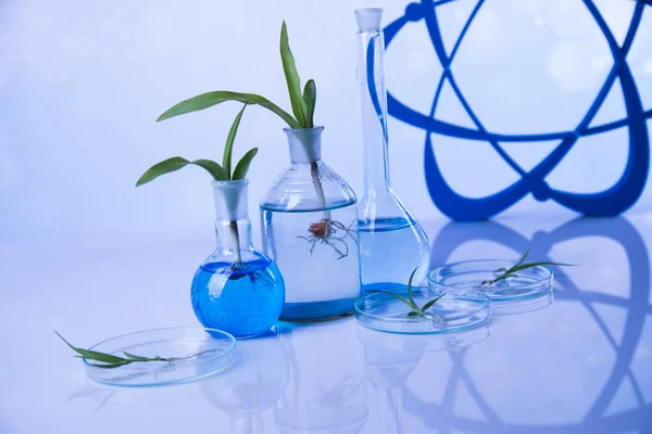 Átomo Cristalería Química Laboratorio Planta Modificada Genéticamente —  Fotos de Stock