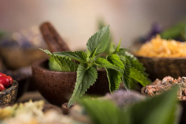 Natuurlijke Remedie Helende Kruiden Achtergrond — Stockfoto