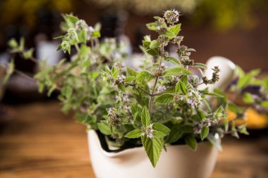 Tahta masada otlu havan topu.