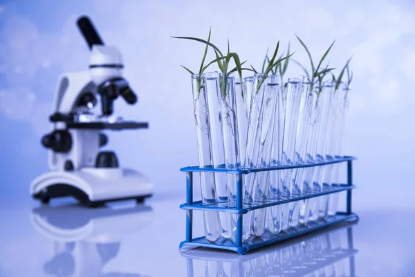 Microscope Science Experiment Plant Laboratory — Stock Photo, Image