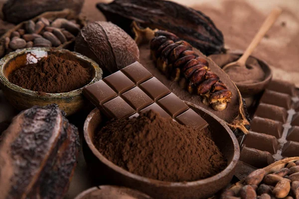 Colección Chocolate Vaina Cacao Dulce Caramelo Postre —  Fotos de Stock