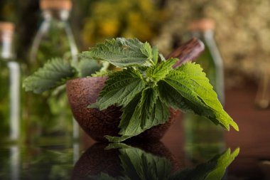 Alternatif sağlık, taze bitkisel ve harç siyah ayna arka planında