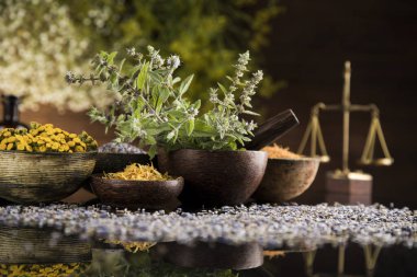 Homeopati, ahşap masada bitkisel ilaçlar, siyah ayna arka planı.