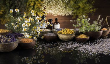 Alternatif sağlık, taze bitkisel ve harç siyah ayna arka planında