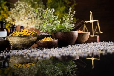 Alternatif sağlık, taze bitkisel ve harç siyah ayna arka planında