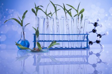 Bilim adamının test tüpüne yerleştir.