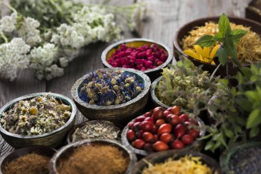 Doğal tedavi, şifalı bitkiler.