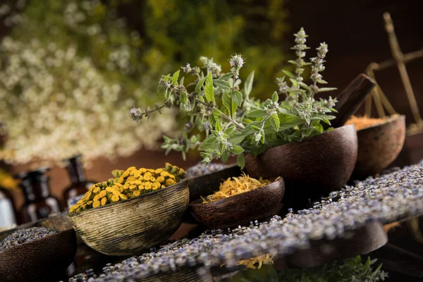 Alternatif sağlık, taze bitkisel ve harç siyah ayna arka planında