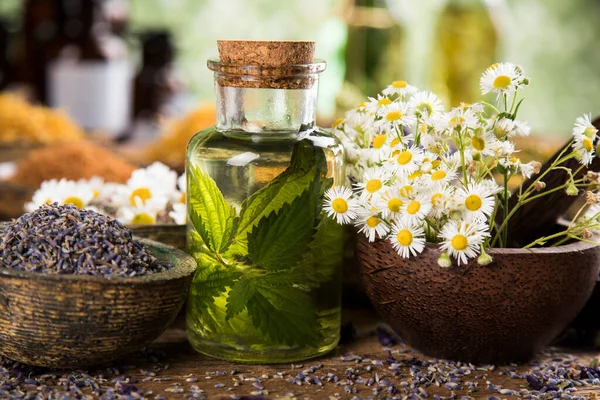 Homöopathie Kräutermedizin Auf Holztisch — Stockfoto