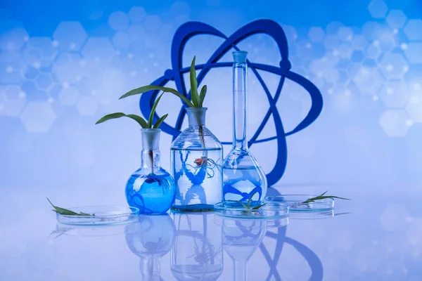 Laboratório Experimental Plantas Vidros Químicos — Fotografia de Stock