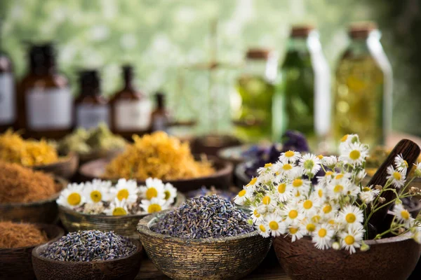 Homeopatia Fitoterapia Sobre Mesa Madeira — Fotografia de Stock