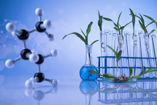 Pflanze Reagenzglas Des Wissenschaftlers — Stockfoto