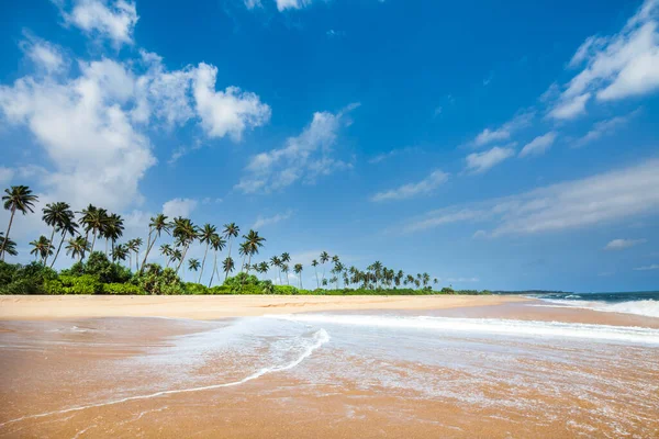 Piękny Widok Tropikalną Plażę Sri Lanka — Zdjęcie stockowe