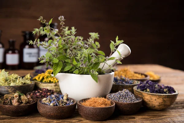 Herbs Medicine Vintage Wooden Background — Stock Photo, Image