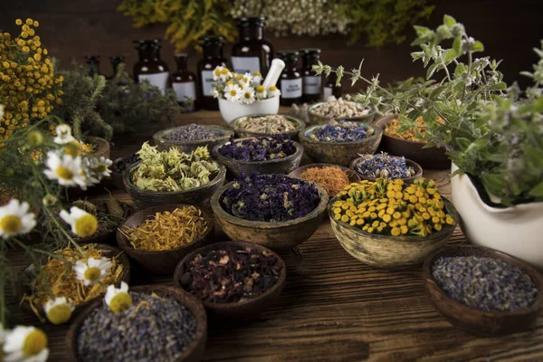 Alternative Medicine Dried Herbs Background — Stock Photo, Image