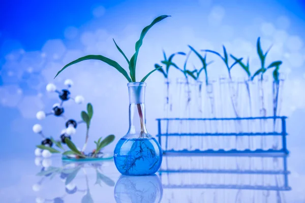 Laboratorio Planta Experimental Cristalería Química — Foto de Stock