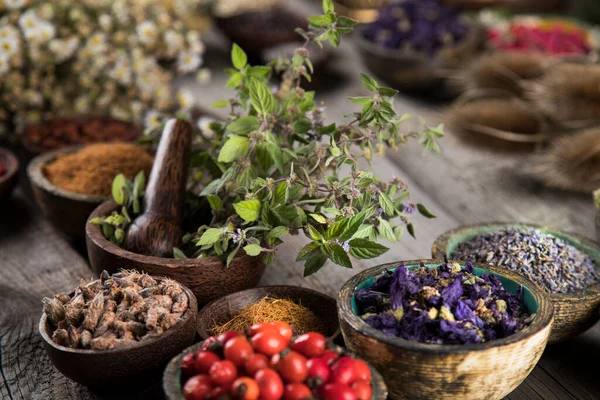 Homeopatia Fitoterapia Sobre Mesa Madeira — Fotografia de Stock