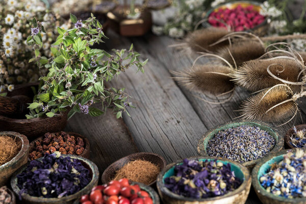 Space for your text, Natural medicine