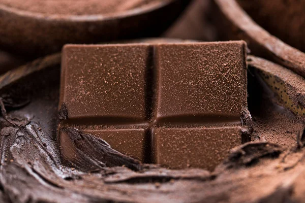 Vaina Cacao Frijoles Chocolate — Foto de Stock