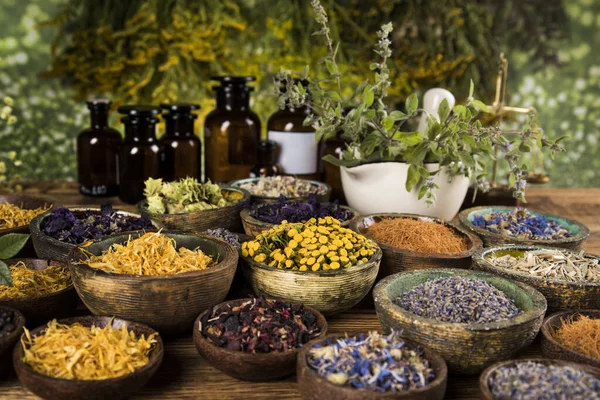 Assorted Natural Medical Herbs Mortar — Stock Photo, Image