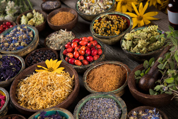 Fresh medicinal herbs on wooden background