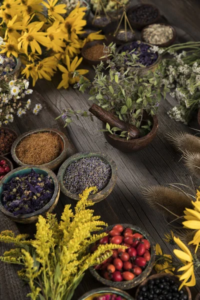 Fresh Medicinal Herbs Wooden Background — Stock Photo, Image