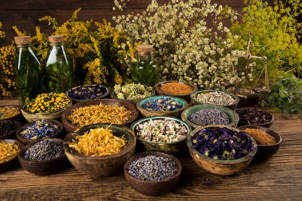 Blandad Naturlig Medicin Örter Och Murbruk — Stockfoto