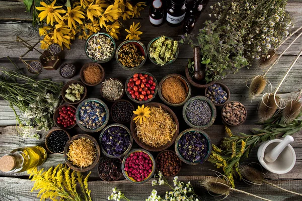 Herbal Obat Segar Pada Latar Belakang Kayu — Stok Foto
