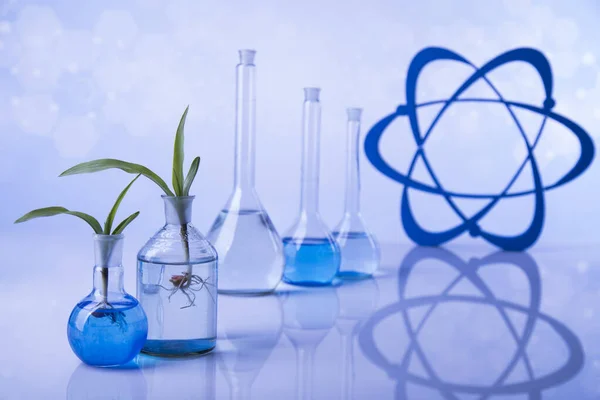 Atom Chemisch Laboratoriumglaswerk Genetisch Gemodificeerde Plant — Stockfoto