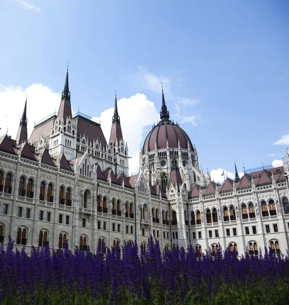 Edificio Parlamento húngaro —  Fotos de Stock