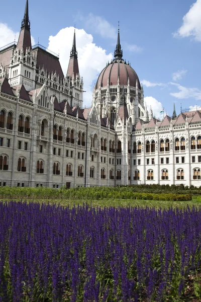 Gedung Parlemen Hungaria — Stok Foto