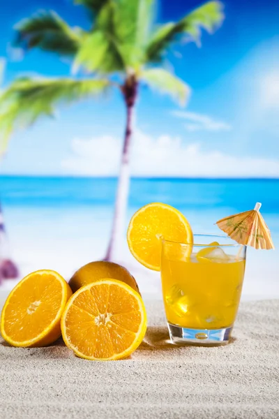 Tropical cocktail — Stock Photo, Image