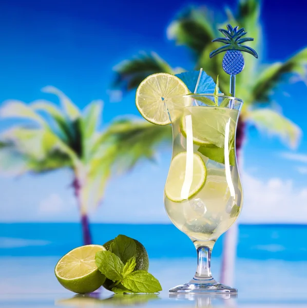 Cocktail with lime slices — Stock Photo, Image