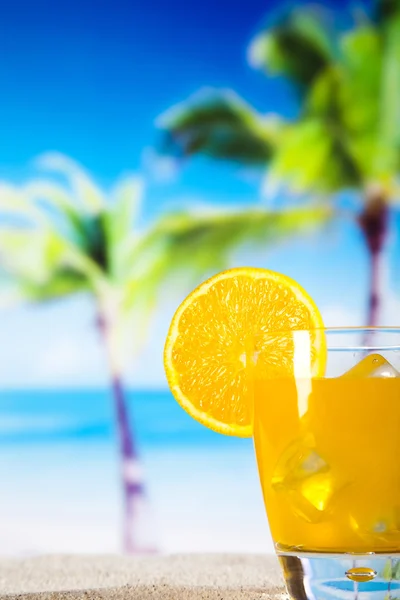 Tropical cocktail — Stock Photo, Image