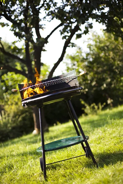 Fire, Hot grilling — Stock Photo, Image