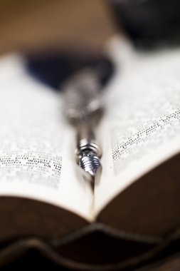 tüy tüy ve açık kitap üzerine mürekkep