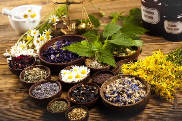 Dried medical herbs — Stock Photo, Image