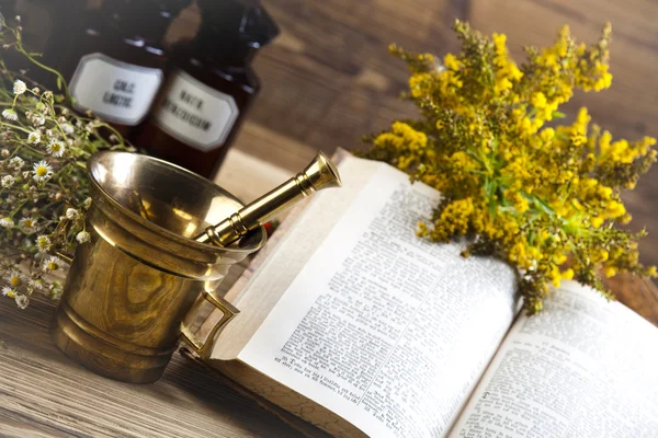 Fresh medicinal herbs — Stock Photo, Image