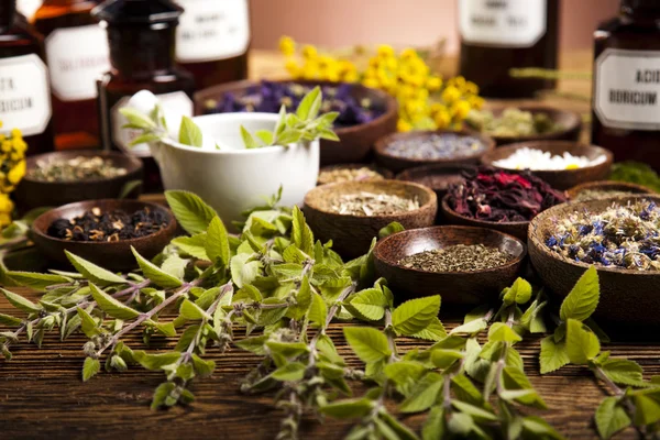 Fresh medicinal herbs — Stock Photo, Image