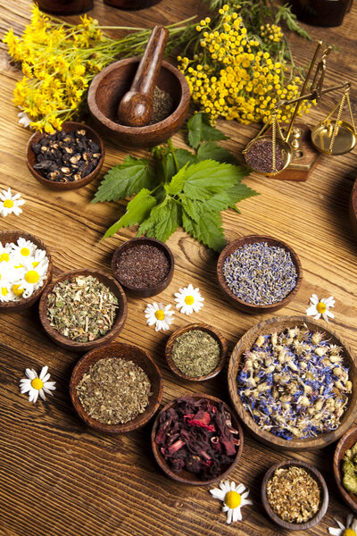 Альтернативная медицина, сушеные травы
