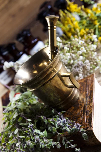 Örtmedicin och bok — Stockfoto